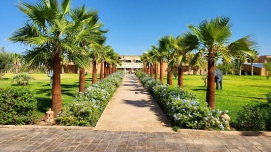 jardin de lina et lea 3